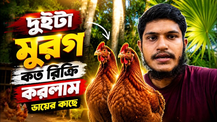 দুইটা মুরগ কত বিক্রি করলাম 🐓🤔?