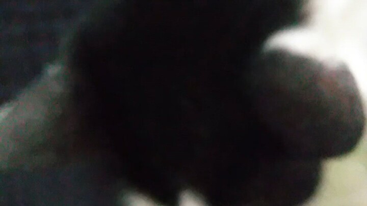 misai
