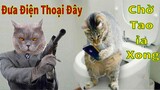Thú Cưng TV | Mèo Kungfu #8 | mèo thông minh vui nhộn | Pets funny cute smart cat