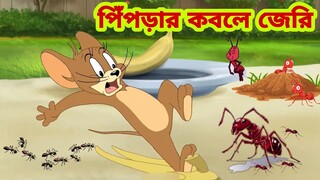 Tom and Jerry | Tom and Jerry Bangla | cartoon | Tom and Jerry cartoon | Bangla Tom and Jerry