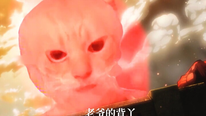 Hakimi: 🐱Barricades eight consecutive stinks🐱