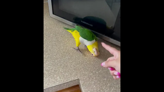 ทำงานยังมีวันหยุด แต่รักเธอที่สุดไม่มีวันหยุดเลยเว้ยแกร