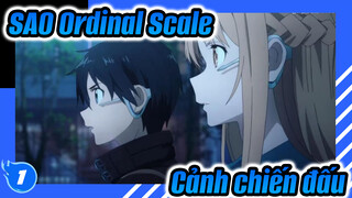 SAO Ordinal Scale
Cảnh chiến đấu_1