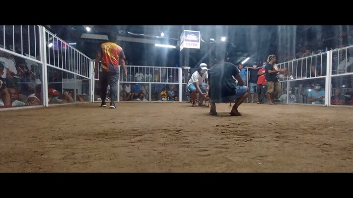 Simala Cockpit Arena 2 Cocks Derby