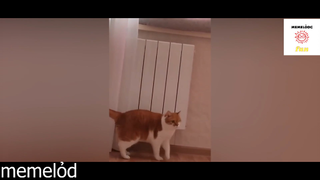 Cười vừa thôi, kẻo nghẹt thở 2TK #funny
