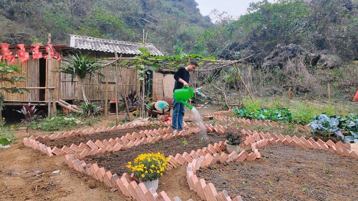 I Built a Secret Garden in the Mountains… You Won’t Believe This!