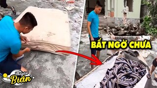 Ngồi Sửa Xe Cũng Bị Đâm Trúng, Người Đàn Ông Đen Nhất Của Năm