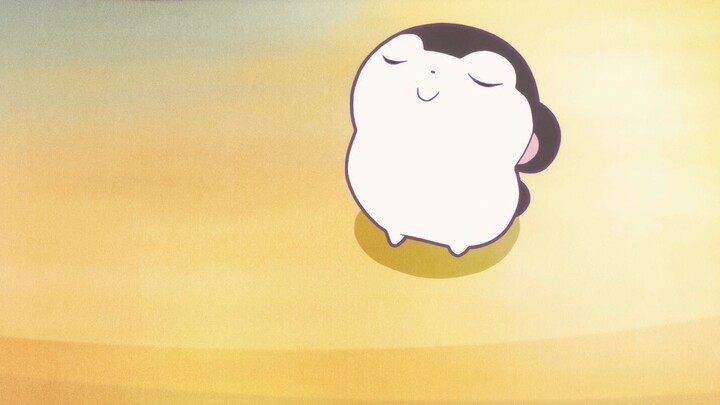 Kehidupan bahagia hamster kecil Baga