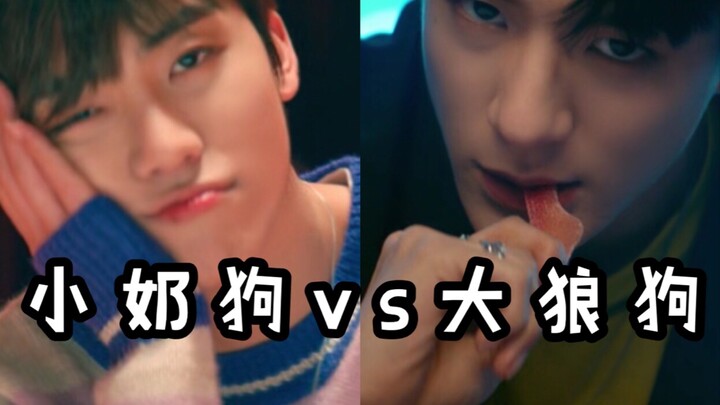 【โรแจมิน vs อีเจดนู】เลือกน้องหมาน้อยนมจืดหรือพี่หมาป่าตัวโตดีนะ? เตือนสติความหวานจัด สำหรับคู่จิ้นโน