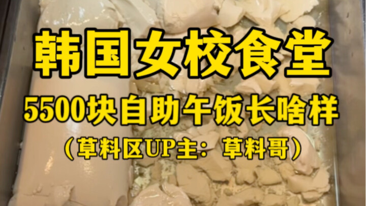 韩国女校食堂5500元自助午饭长啥样？（伙食硬了，嘎嘎硬）