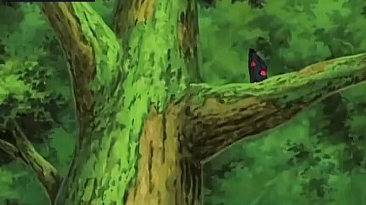 Sasuke Vs itachi_finale