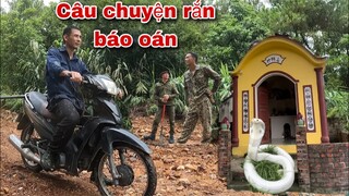 Anh Thợ Rừng Và Câu Chuyện Rắn Báo Oán | Tâm Linh Huyền Bí