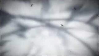 levi Ackerman (AMV)