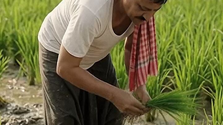 #I like to work in agriculture#