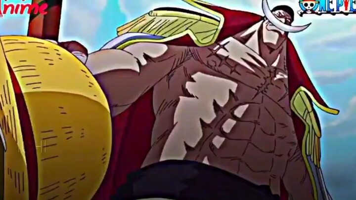 luffy mũ rơm