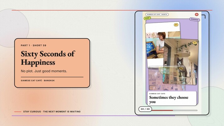 Siamese Cat Café #30 — Sixty Seconds of Happiness + See You at the Café