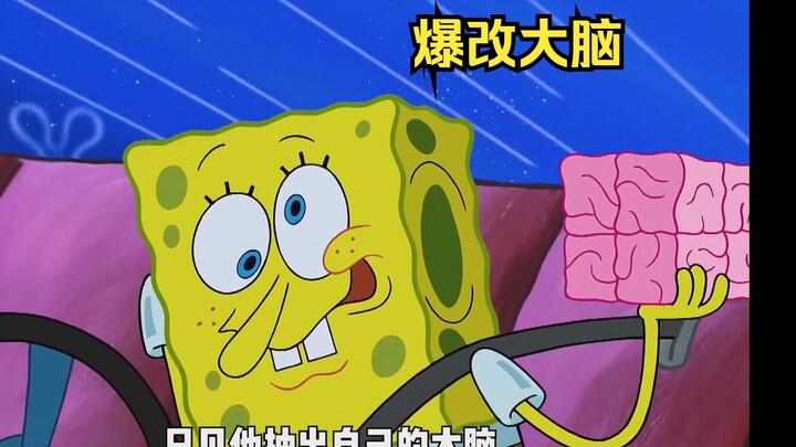 小海绵爆改大脑