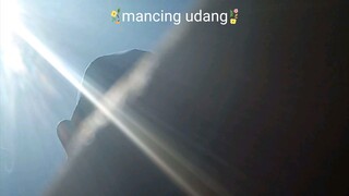mancing undang lagi