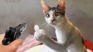 Funniest Cats and Dogs 2023 😂 New Funny Animals 🤣 Part 19