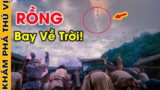 🔥 7 Vị Rồng Thần Bí Ẩn Và Thiêng Liêng Nhất Được Người Châu Á Tôn Kính Và Sùng Bái Như Thánh Thần