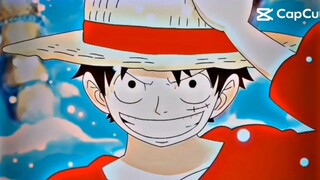 Luffy Mũ Rơm và đồng đội của mình..♡♡♡