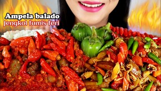ASMR AMPELA BALADO, JENGKOL TUMIS TERI |INDONESIAN FOOD |  ASMR MUKBANG INDONESIA