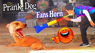 Fans Horn vs Dogs Prank Very Funny of The Day | Fake Tiger vs Real Dogs Prank Best Funny Video