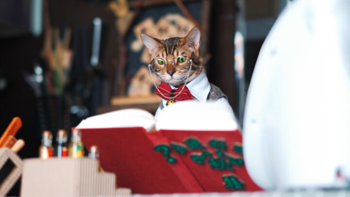 【Animal Circle】Illegal shop filled with traps. Worset owner ever.