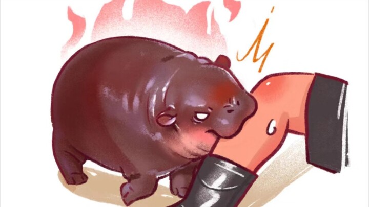 The zookeeper is such a rascal! He teases the bouncy piglet, Xiao Pidan, every day.