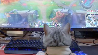 I used to be a king... until my mom came to the internet cafe