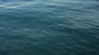 pujada island tour@ PIER ONE