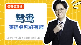 โดนจุดน่ารักเข้าให้แล้ว! ชื่อภาษาอังกฤษของ "หงส์คู่" กลับเป็นแบบนี้นี่เอง!