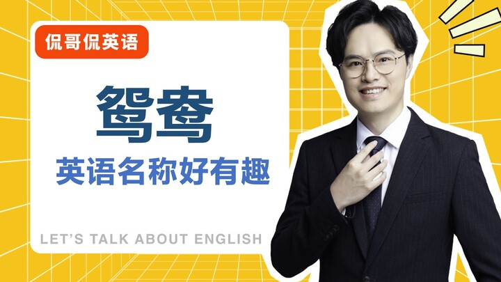 It hits all the cute spots! Turns out the English name for "mandarin duck" is actually this!