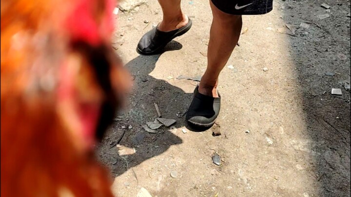 Balbas line going 6months unang laro