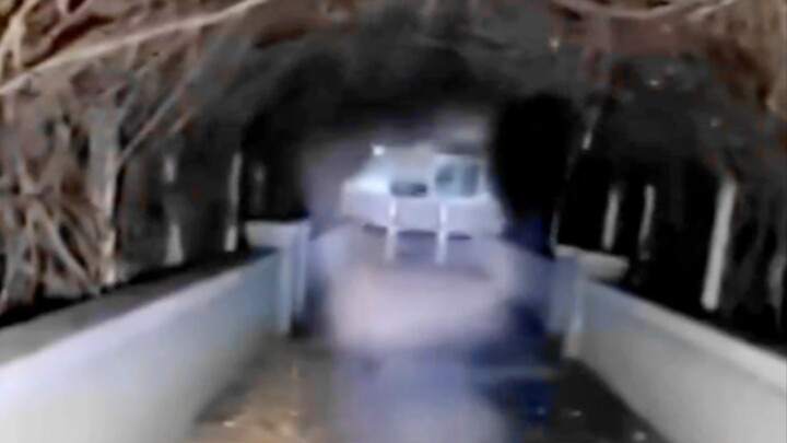 Outdoor Adventure Little Dragon’s Classic Dragon Manor High-Energy Compilation: Arguably the Scaries