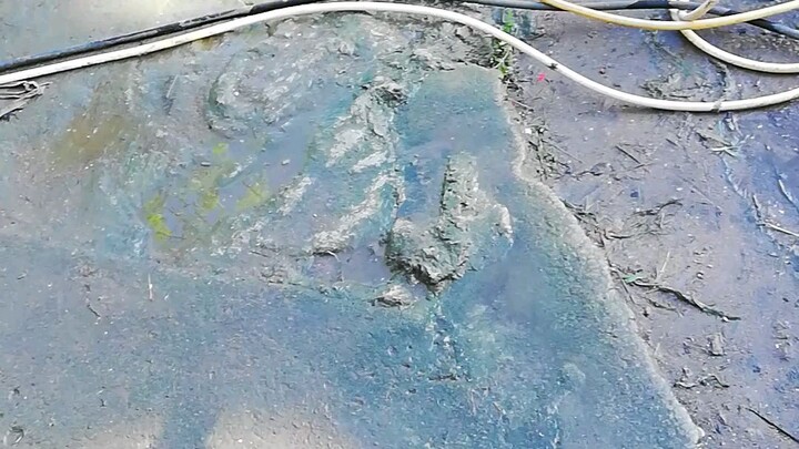 Washing motorcycle (self service)