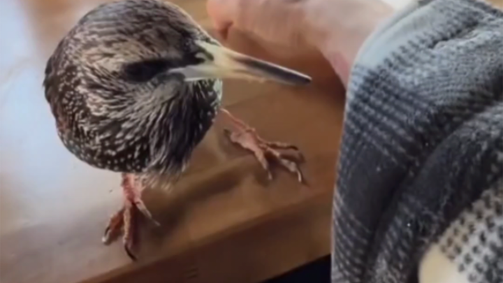 เรียนเยอะไปหน่อยแล้ว