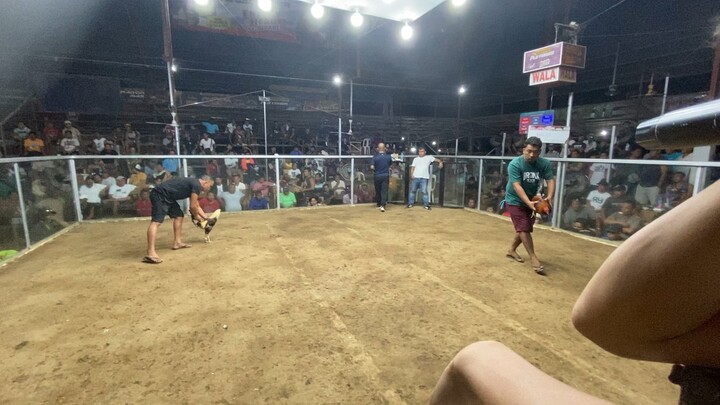 2.2m final 5cock derby 5th fight (win)