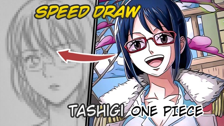 Tashigi cewek kacamata dari one Piece