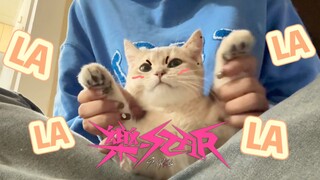 李旻浩本体也来Challenge！ StrayKids-LALALALA猫猫版翻跳