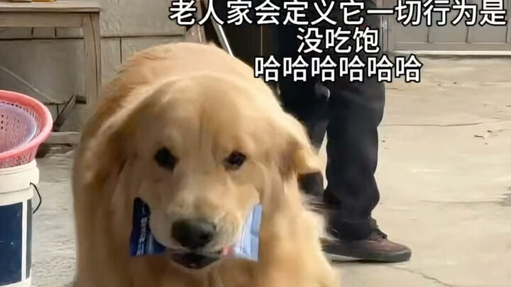 Chơi đã đời ở quê!