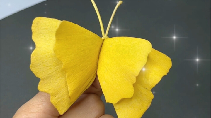 Pick up two ginkgo leaves and teach your children to make a beautiful little butterfly. It is simple