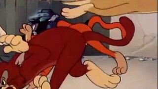 Seberapa kuat saudara ipar Jerry di Tom and Jerry?