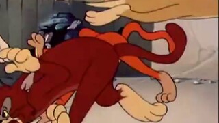 How strong is Jerry's brother-in-law in Tom and Jerry?