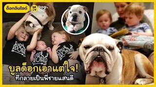 รักที่ไม่เคยตกกระป๋องของอดีตบูลด็อกเอาแต่ใจที่กลายเป็นพี่ชายแสนดี ความรักตัวอ้วนที่ครอบครัวขาดไม่ได้