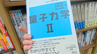 硬核圣地巡礼《青春猪头少年》藤泽镰仓之旅【软游记】