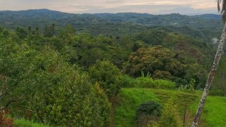 Matapos inulan ka gabi, ito yung kinaumagahan very nice nature... Nice place to rest....