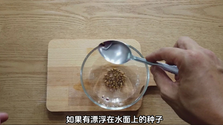 把葡萄放进可乐里浸泡，能种出葡萄树? 又学到了繁殖葡萄的新方法。