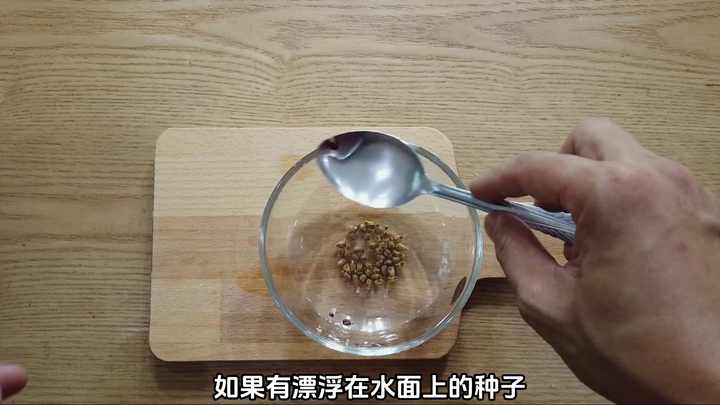 把葡萄放进可乐里浸泡，能种出葡萄树? 又学到了繁殖葡萄的新方法。