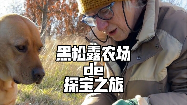 What’s it like to be a “gold miner” for a day on an Australian farm?